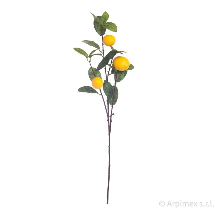 TRALCIO 3 LIMONI CM.75